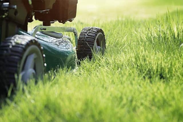 Garden Mower and grass image
