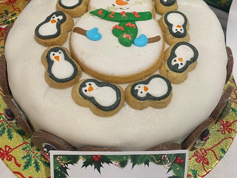 Brampton View Daisy Lane Nursing Community Penguin Cake