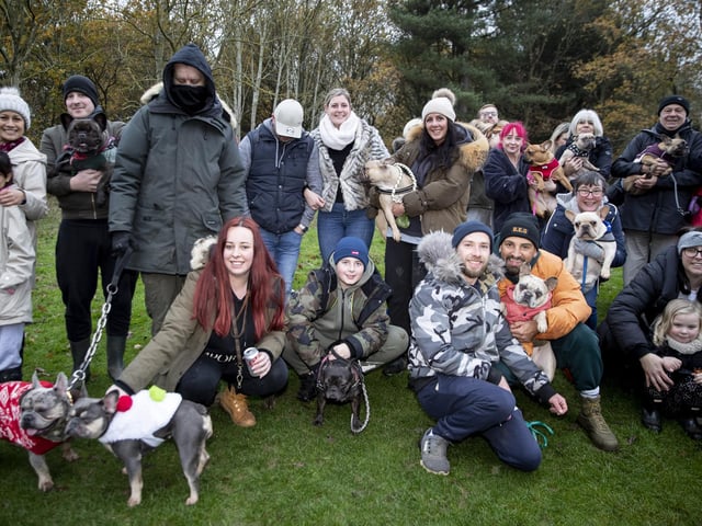 The French Bulldog Meet & Walk group’s Christmas walk at Hunsbury Hill Country Park on Sunday December 4, 2022.