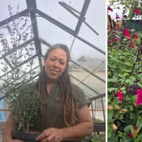 Gardening business founder of nearing decade-and-a-half proudly launches wholesale plant venture