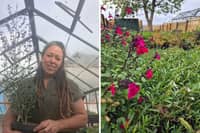 Kim Tegg launched Beautiful Borders 13 years ago in what was a complete career change after returning to college to train in horticulture, and she is now the proud founder of Beautiful Borders Plants Ltd too.