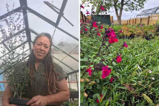 Kim Tegg launched Beautiful Borders 13 years ago in what was a complete career change after returning to college to train in horticulture, and she is now the proud founder of Beautiful Borders Plants Ltd too.