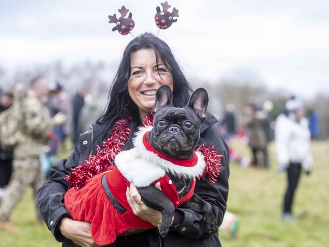 Nearly 100 French Bulldogs wore Christmas outfits for a festive walk at Hunsbury Hill Country Park on Sunday (December 17).