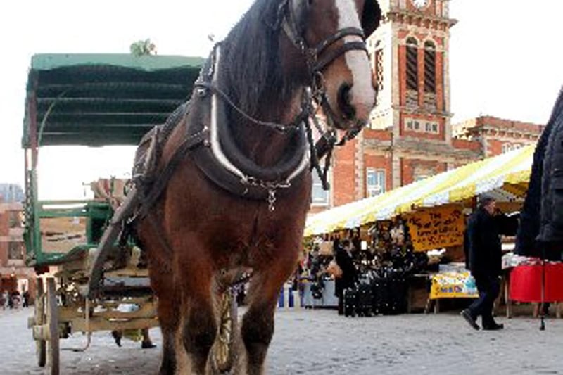 Kids loved to stroke and pat the much-missed Chesterfield market horse