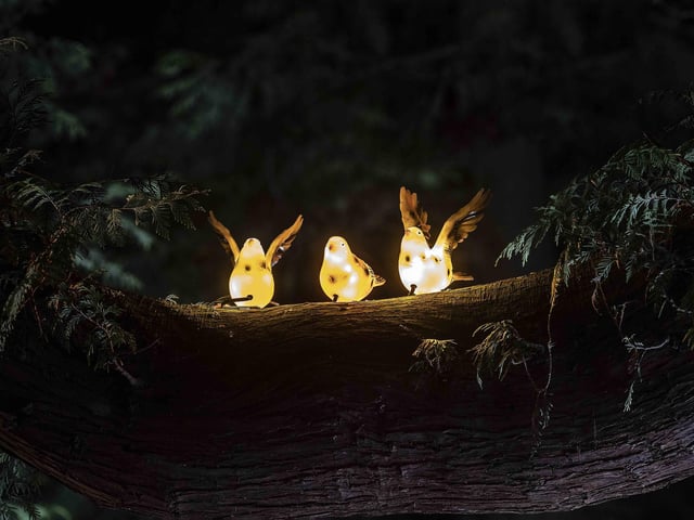 Take a look around the winter light trail, which is now open and will be until December 31.