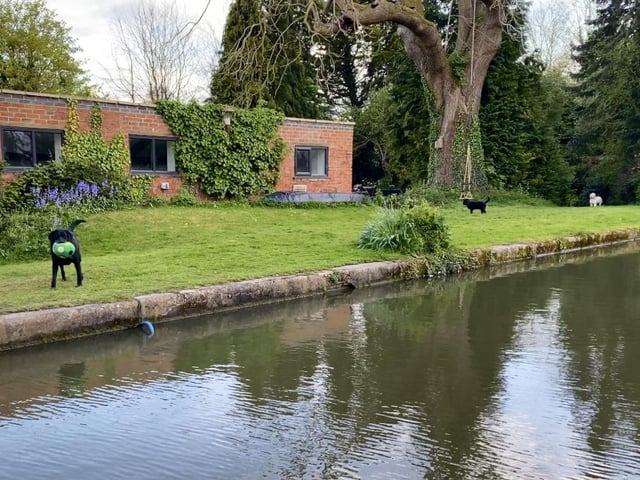We travelled on the Grand Union Canal, enjoying the companionship of a peaceful herd of cows, dogs, ducks, and swans along the route.