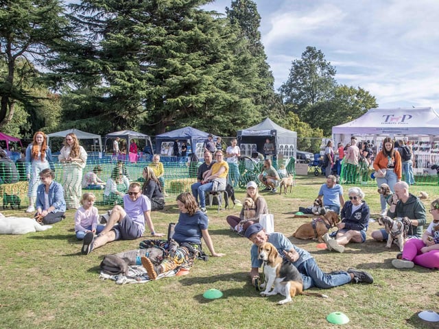 Pooches and owners alike enjoying the popular dog festival on Saturday September 14, 2024.