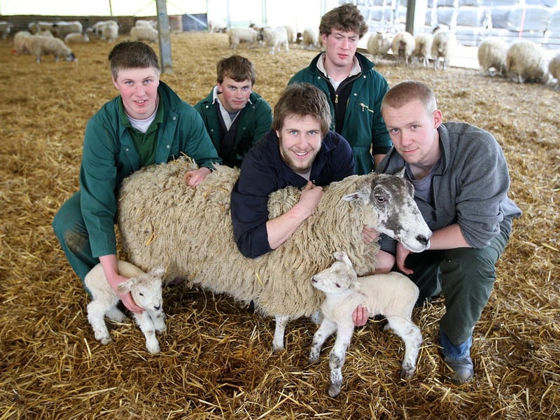 Lambs at Lodge Farm site, Moulton College. Pictured: Josh Burton, Ben Smith, Lance Charity, Benoit Bruneau, French student and Robert Dugdale, national diploma in Agriculture students, with lambs which were born two to three days ago.