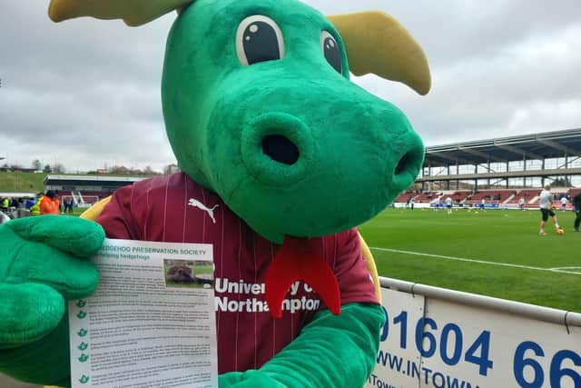 The Cobbler's Clarence is supporting the #HedgehogCup!