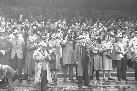 Crowd at horse race meeting racing