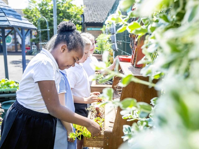 Briar Hill Primary School unveiled its new garden on Friday (June 9) to promote the importance of green space for children.