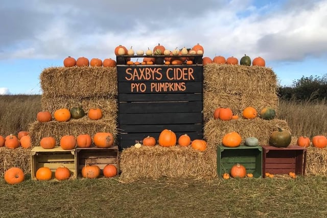 You can now pre-book tickets to your own pumpkins at Saxby’s farm in Wellingborough from October 15! Bring your wellies, grab a wheelbarrow and venture through the patch to pick as many pumpkins as you want. The Saxby’s Cider bar and shop will be open and there will be a BBQ and trailer rides, which can be purchased on arrival. Please note that no dogs are allowed in the pumpkin patch. Tickets cost £2.50 and include entry for one car and all occupants. Admission is from 10am to 4pm.