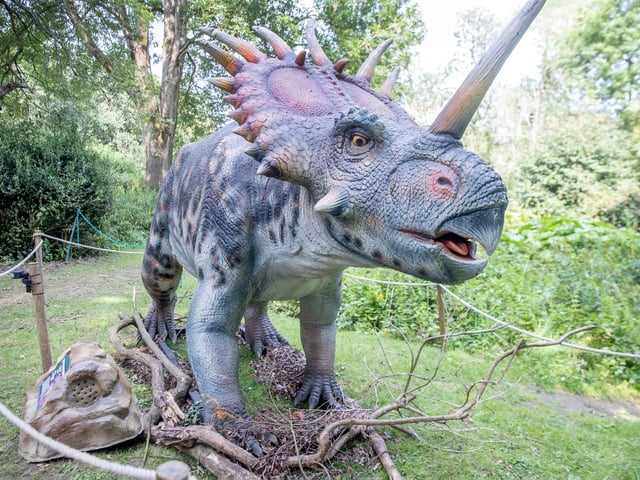 What to expect from the Dinosaurs in the Park event, which is at Delapre Abbey until Sunday September 1, 2024.