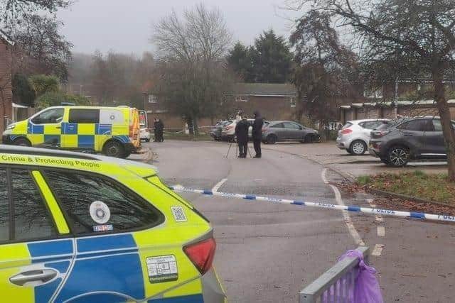The scene of the incident in Flaxwell Court. Credit: Logan MacLeod