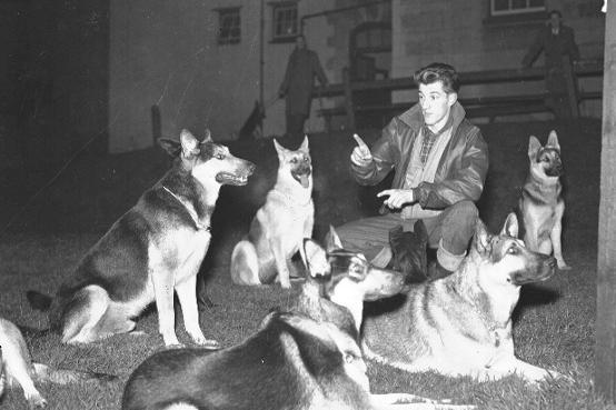 If you know any more information about this photograph, please email editor@northantsnews.co.uk