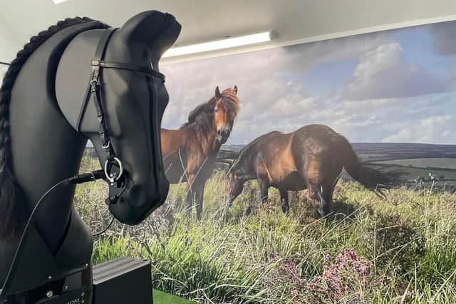 Venture RDA, which stands for ‘riding for the disabled’, was formerly known as Wilby RDA and has been making a difference since 1996.