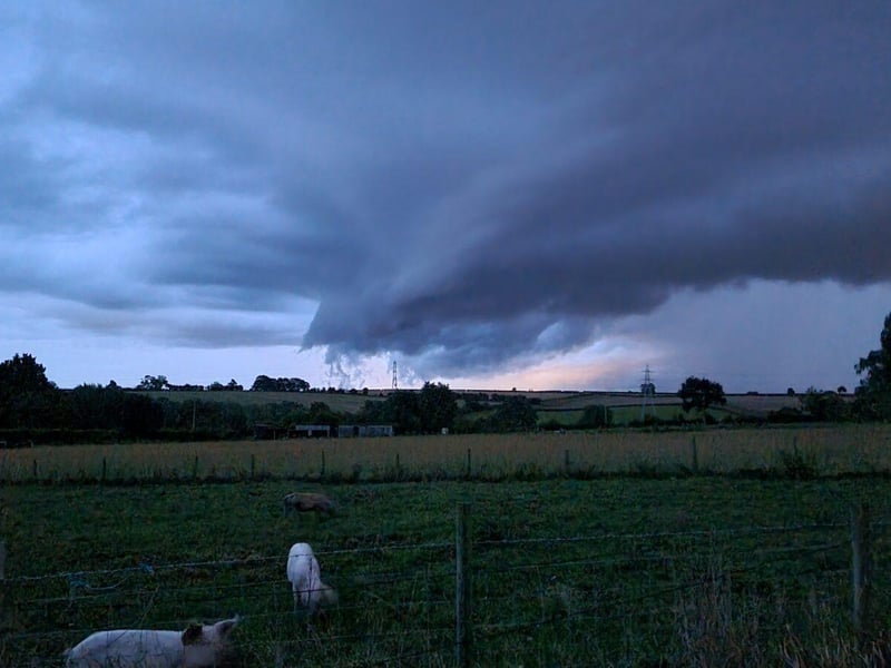 Tornado Dissipation