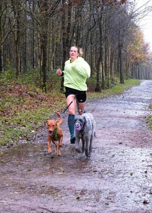 Chloe and her dogs Moose and Flex partaking in canicross