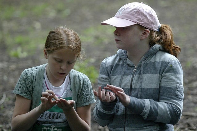 Pupils from Studfall Junior School in Corby stayed at the centre and took part in activities at Everdon Stubbs Forest.