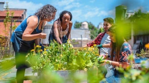Charities and community groups can find out more about how to apply for funding at https://localgiving.org/community-matters-fund-2026-110071.