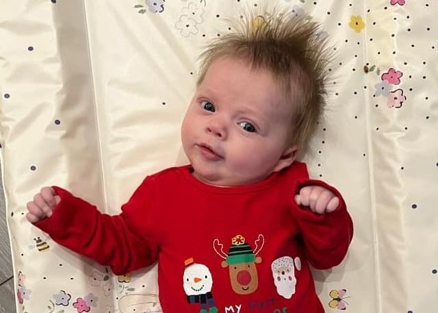Lily getting ready for her first Christmas.