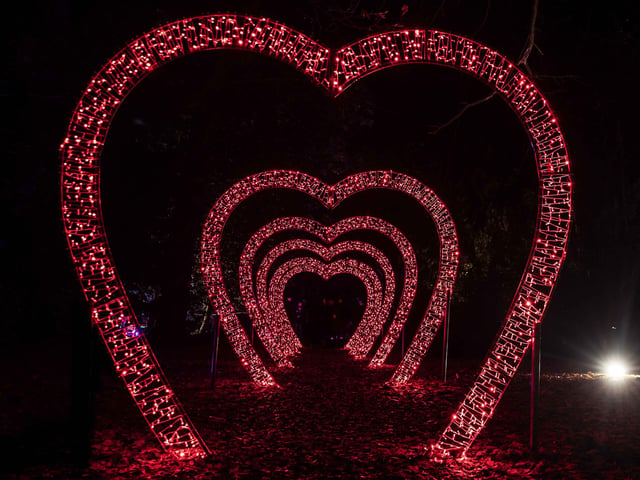 Take a look around the winter light trail, which is now open and will be until December 31.