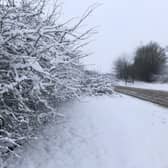 Snow has fallen across Northampton.