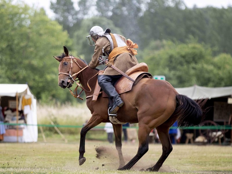 Led by renowned reenactment group, The Devereux’s Regiment, the event at Delapre Abbey saw a weekend of exciting displays, demonstrations, and hands-on history.