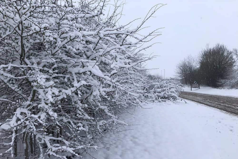 Heavy snow is expected to fall in Northamptonshire overnight.