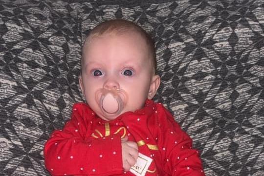 Paisley, five months old.