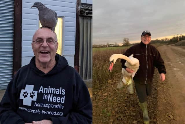 Roy Marriott founded Animals In Need in Wellingborough in 1990.