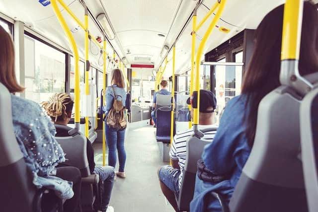 View from the back seat of a bus