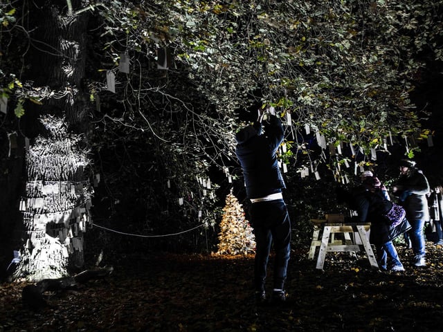 Take a look around the winter light trail, which is now open and will be until December 31.