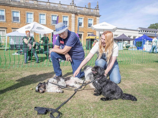 Pooches and owners alike enjoying the popular dog festival on Saturday September 14, 2024.