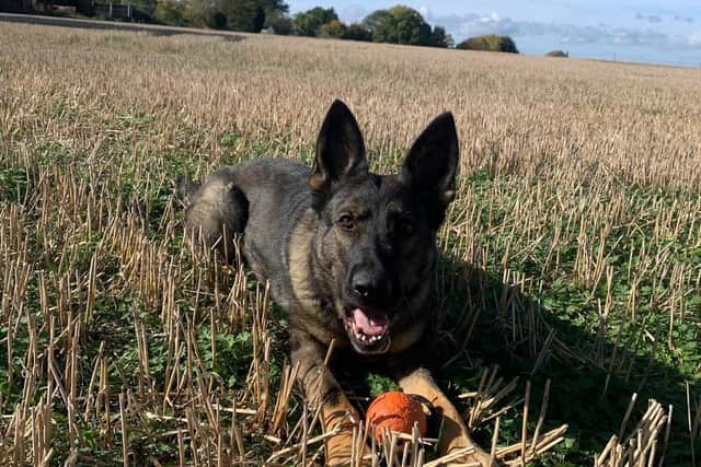 PD Zaki tracked both suspects down after they failed to stop for police on the A45 and fleed.