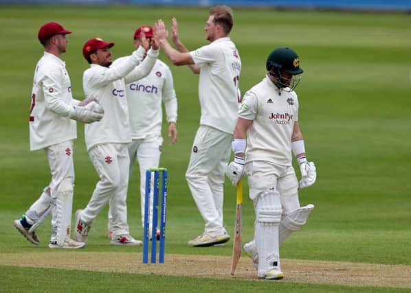 Tom Taylor celebrates claiming the wicket of Ben Duckett (Photo by David Rogers/Getty Images)