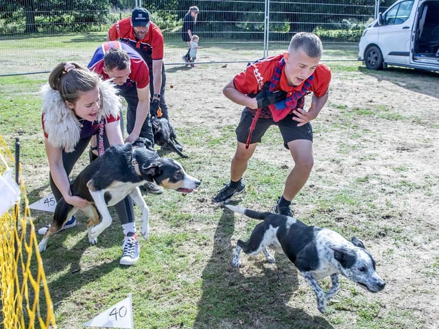 Pooches and owners alike enjoying the popular dog festival on Saturday September 14, 2024.
