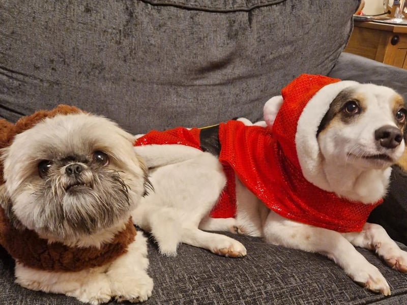 Santa and Rudolph...
