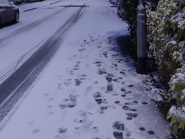 Footprints in the snow.