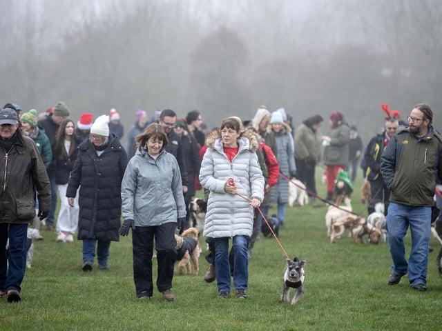 Dozens of dog walkers turned out on Sunday morning (December 21) for the charity's annual fundraiser at Bradlaugh Fields