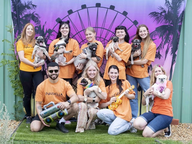 The Teddy’s Dog Care team took inspiration from Coachella festival and planned the pug equivalent, which they hope to offer annually and open up to all dog breeds.