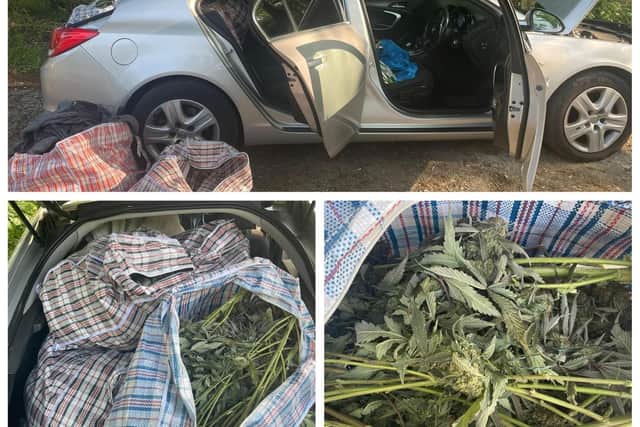 The cannabis found close to a Northamptonshire beauty spot.