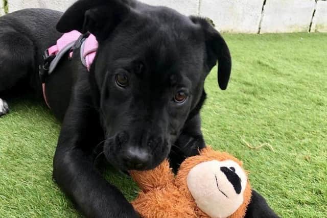 Ginny was found wandering around a car park in King's Heath.