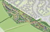 An artist's impression of how the site could be laid out