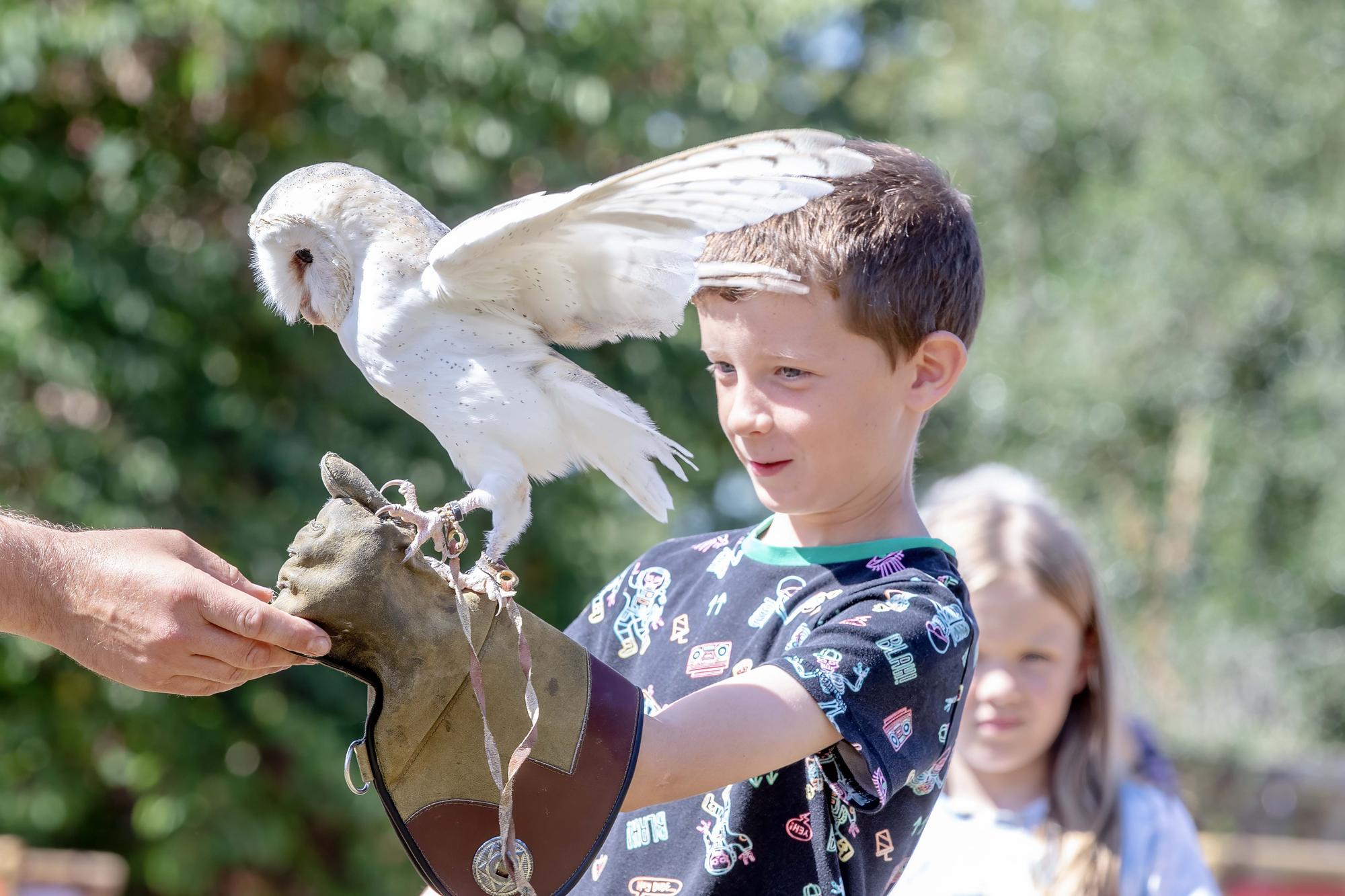 Families visited Delapre Abbey on Sunday August 17 to meet and learn about birds of prey.