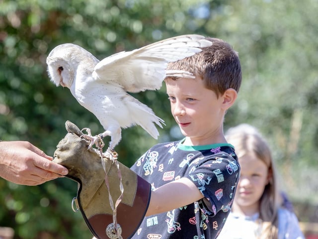 Families visited Delapre Abbey on Sunday August 17 to meet and learn about birds of prey.