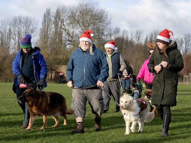 The popular event saw more than 100 dogs walked around Bradlaugh Fields in Northampton on Sunday (December 22).