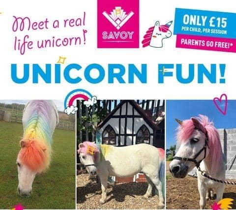 Unicorn Fun