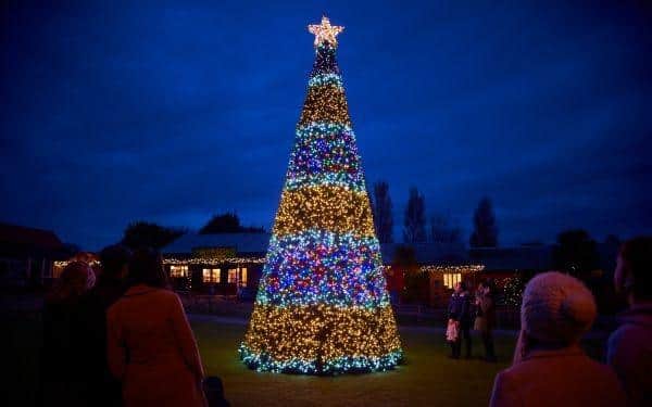 24 Ft Christmas tree at Drusillas