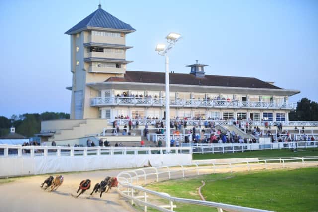Round Two of the StarSports English Greyhound Derby begins on Friday night